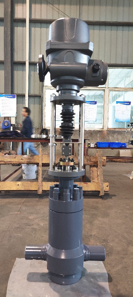 電動(dòng)高壓減溫水調(diào)節(jié)閥