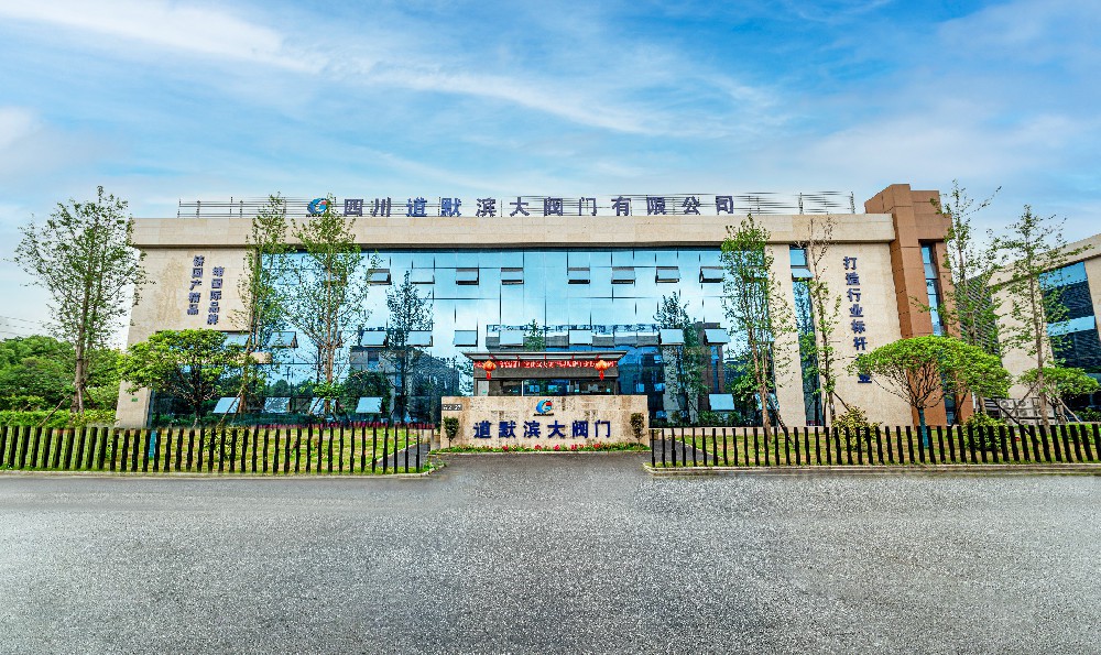 技改先鋒，激流勇進(jìn) ——四川道默濱大閥門(mén)有限公司積極參與行業(yè)科技創(chuàng)新成果交流