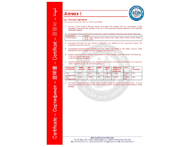 SIL3設(shè)備安全性能等級證書2